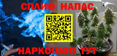 соль ск Будённовск