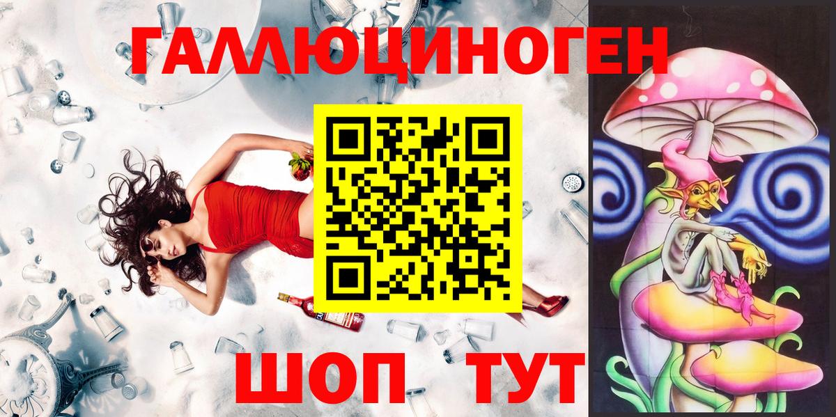 Псилоцибиновые грибы мицелий Новокубанск