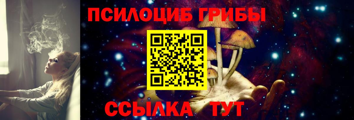 Новокубанск  Псилоцибиновые грибы MAGIC MUSHROOMS  Вход с VPN  наркошоп  Галлюциногенные грибы прущие грибы 